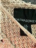 Cynthia Rowley Tan Pullover Sweater Size M - photo 7