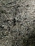 J Brand Graphic Floral Multi Color Silver Jeans Size 29 waist - photo 8