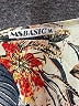 MSBASIC Print Ivory Casual Dress Size M - photo 7
