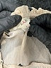 E&M Collection Ivory 3/4 Sleeve Blouse Size S - photo 7