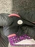 Lululemon Athletica Color Block Purple Active Pants Size 8 - photo 8