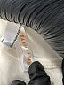 American Apparel Ivory Short Sleeve T-Shirt Size 4  - photo 3