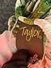 Taylor 100% Polyester Tropical Green Casual Dress Size 4 - photo 6