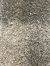 Chico's Animal Print Brown Jumpsuit Size Lg (2) - photo 5