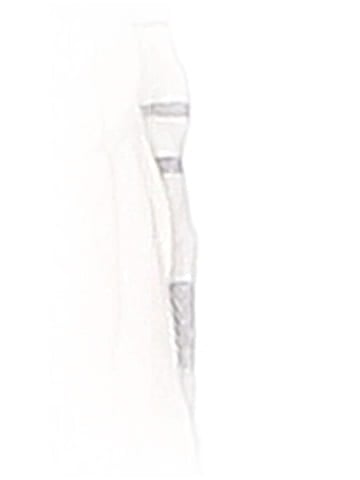Ann Taylor LOFT Scarf (view 2)