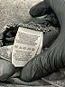 Free People Stars Gray Jeans Size 27 waist - photo 8