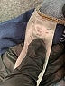 We the Free Solid Blue Jeans Size 27 waist - photo 9