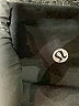 Lululemon Athletica Black Casual Pants Size 4 - photo 7