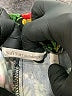 Soft Surroundings Floral Black Casual Pants Size 1X - photo 4