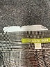 Gianni Bini Gray Skort Size 4 - photo 3