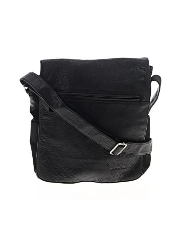 Fossil Messenger (view 1)