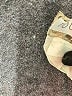 Assorted Brands Paisley Ivory Casual Skirt Size XS (estimated) - photo 5