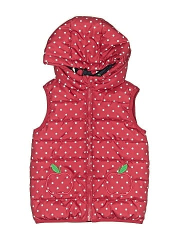 Gymboree Vest (view 1)