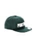 The Classic Green Baseball Cap One size - photo 1