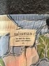 Talisman Floral Ivory Shorts Size XS - photo 3