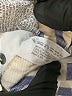 Zara Print Ivory Jeggings Size 6 - photo 8