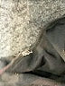 BNSQ Paisley Blue Casual Dress Size XXL - photo 8