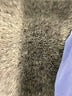 J.Jill 100% Cotton Blue Raincoat Size L - photo 7