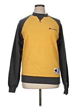 Champion Sweatshirt (view 1)