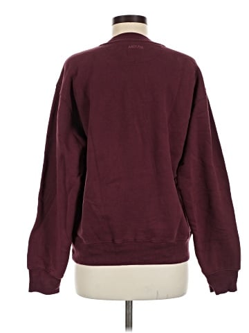 Aritzia Sweatshirt (view 2)