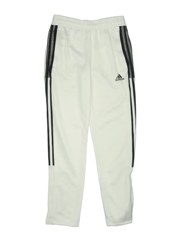 Adidas Track Pants (view 1)