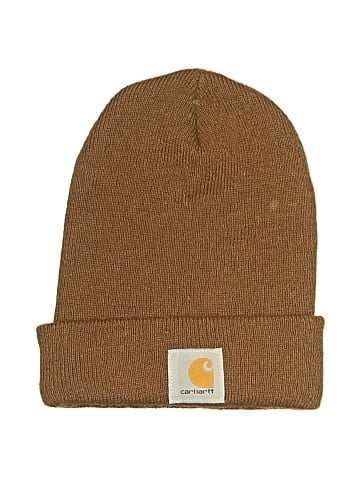 Carhartt Beanie (view 1)