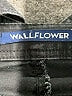 Wallflower Black Overalls Size S - photo 4