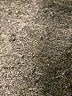Gap Blue Jeans Size 12 - photo 7