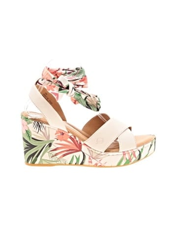 Born Wedges (view 1)