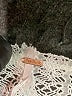 Free People Ivory Long Sleeve Top Size XS - photo 7