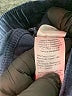 Crewcuts Blue Casual Pants Size 14 - photo 4