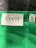 Cyrus Green Short Sleeve Top Size XL - photo 7