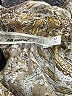 Assorted Brands 100% Polyester Paisley Tan Casual Dress Size M - photo 7