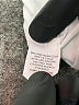 Bcg Ivory Short Sleeve T-Shirt Size XXL - photo 8
