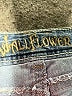 Wallflower Blue Denim Shorts Size 17 - photo 3