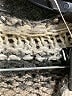 Free People Stripes Brown Pullover Sweater Size M - photo 7