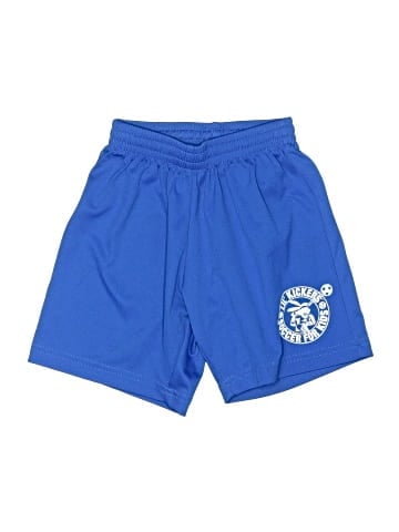 Challenger Teamwear Athletic Shorts (view 1)
