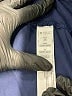 Bally Total Fitness Blue Active Pants Size 2X - photo 4