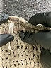 Free People Brown Pullover Sweater Size S - photo 7