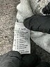 Lacoste Tweed Gray Casual Dress Size EU 36 / US 6 - photo 9