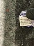 St. John Purple Sleeveless Blouse Size L - photo 7