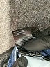 Risen Hearts Blue Jeans Size 9 - photo 8