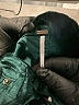Free People Green Jeans Size XS - photo 7