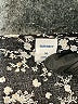Old Navy Black Short Sleeve Blouse Size XL - photo 7