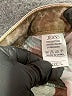 Jeans Chevron-herringbone Silver Jeans Size L - photo 7