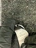 Attention Solid Black Formal Skirt Size 3X - photo 5
