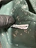Nike Stars Green Active Pants Size XL (kids) - photo 4