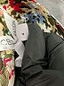 BCBGeneration Ivory Jumpsuit Size 4 - photo 5