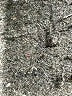Lululemon Athletica Black Casual Pants Size 8 (estimated) - photo 7