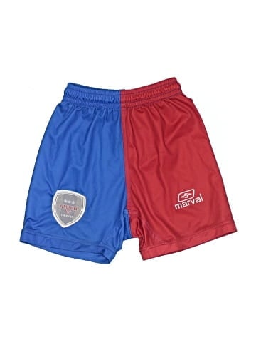Assorted Brands Athletic Shorts (view 1)